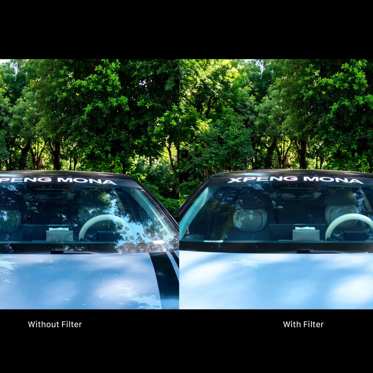 Comparison showing a car's windshield reflecting surrounding trees, demonstrating glare reduction when using a CPL or Polarizer Filter filter