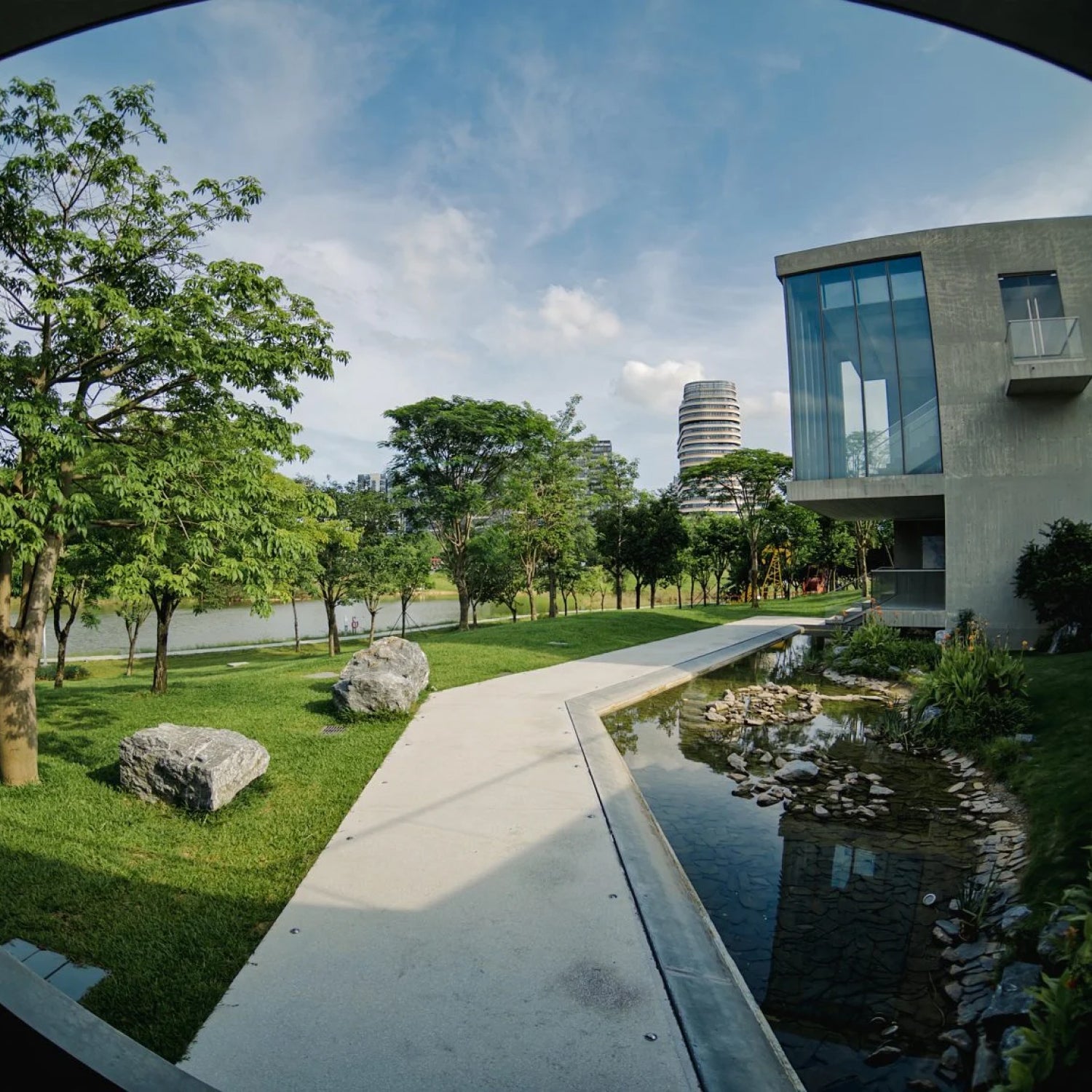 8mm Fisheye-Objektiv für iPhone (T-Mount)