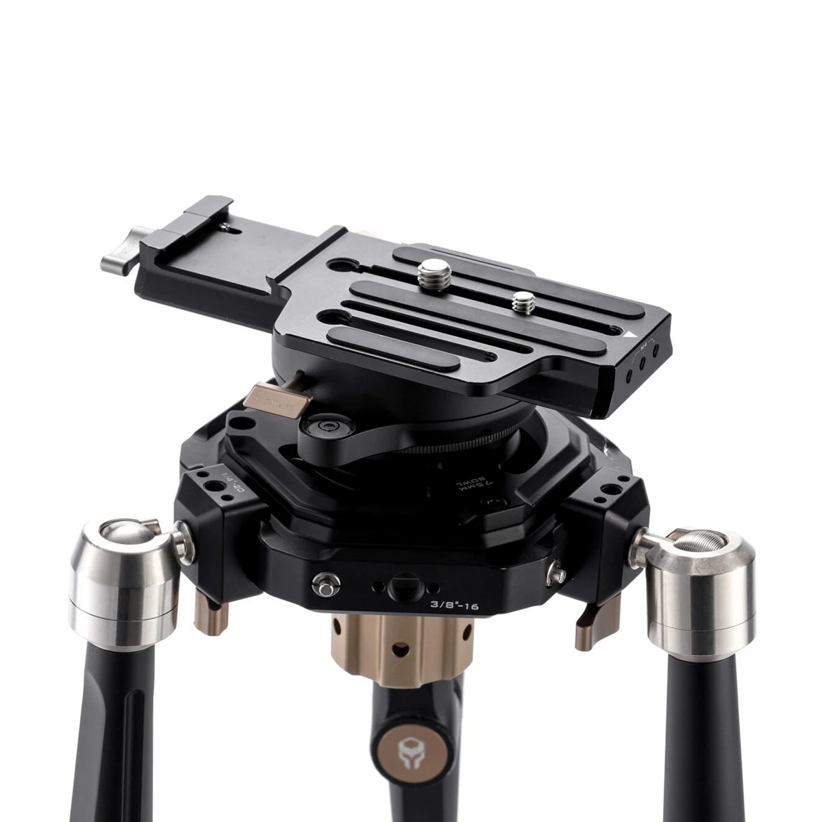HDA-T11-XXX
