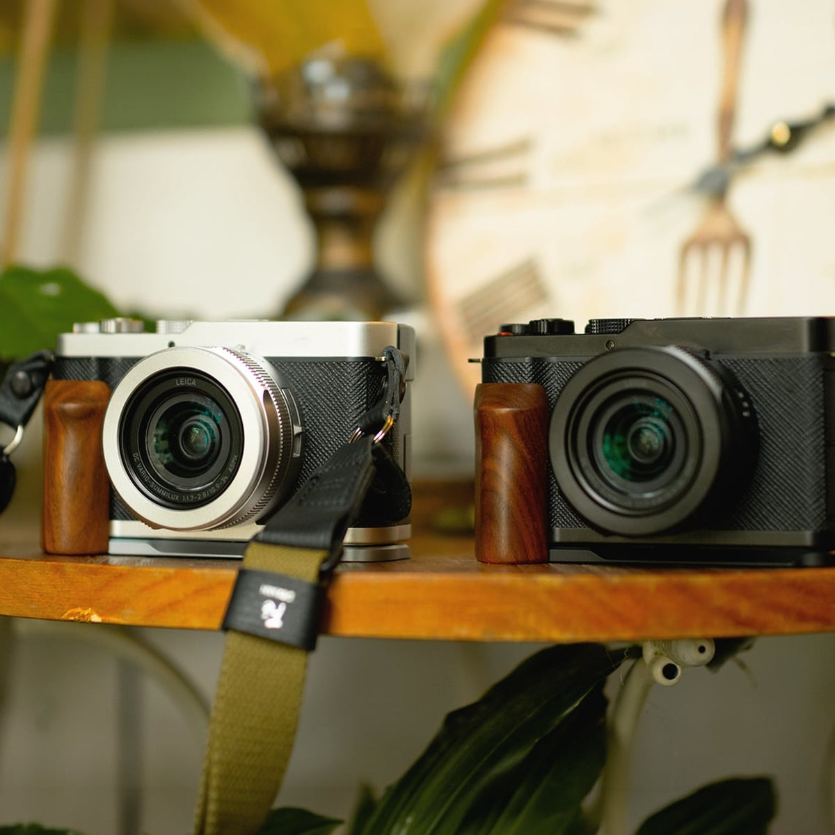 Vintage Camera Cage for LUMIX L10 Base Kit